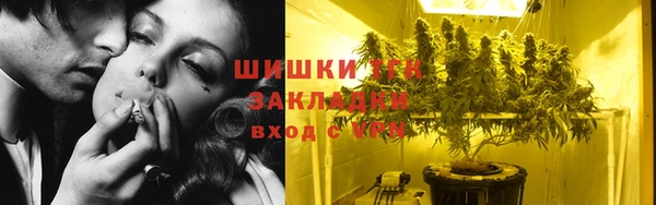 кокс Ельня