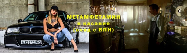 шишки Елизово