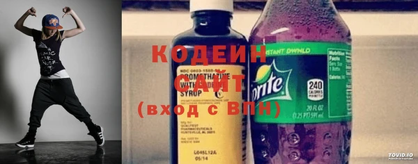 шишки Елизово