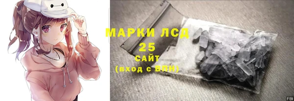 шишки Елизово