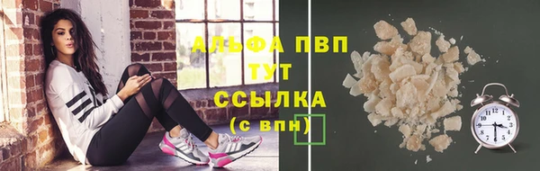 шишки Елизово