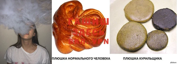 шишки Елизово