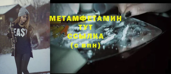 шишки Елизово