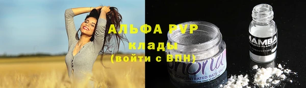 шишки Елизово