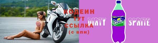 шишки Елизово