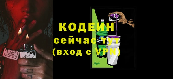 шишки Елизово