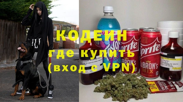 шишки Елизово