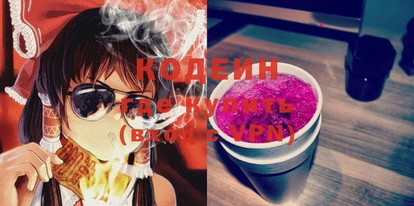 шишки Елизово