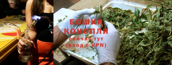 шишки Елизово