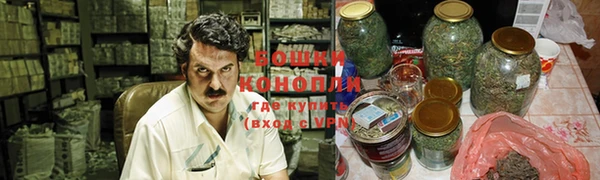 кокс Ельня