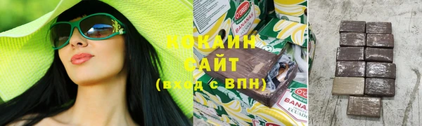 кокс Ельня