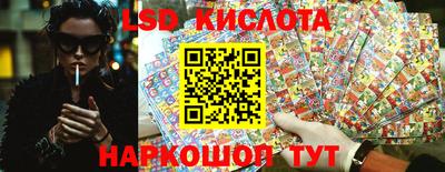 мдпв Донской