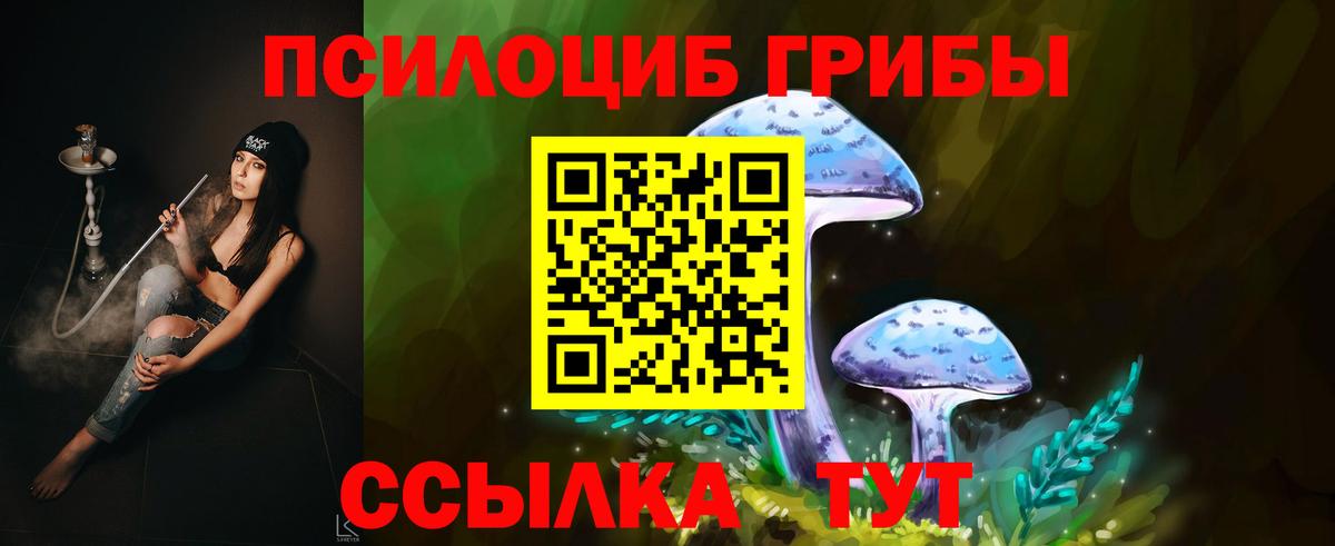 Галлюциногенные грибы прущие грибы Заинск